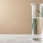 découvrez notre guide précis et pratique pour doser la bouillie bordelaise dans 1 litre d'eau, afin de protéger efficacement vos plantes contre les maladies.