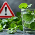 découvrez les risques pour la santé liés au pourpier et les précautions essentielles à prendre pour une consommation sûre.